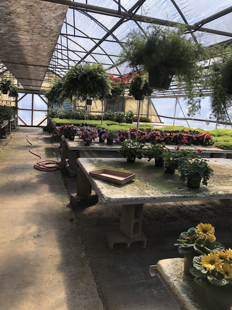 Roebuck Greenhouses Inc Garden Center florist in Roebuck SC
